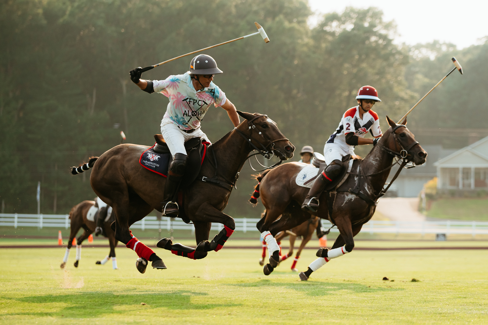 Polo Tickets